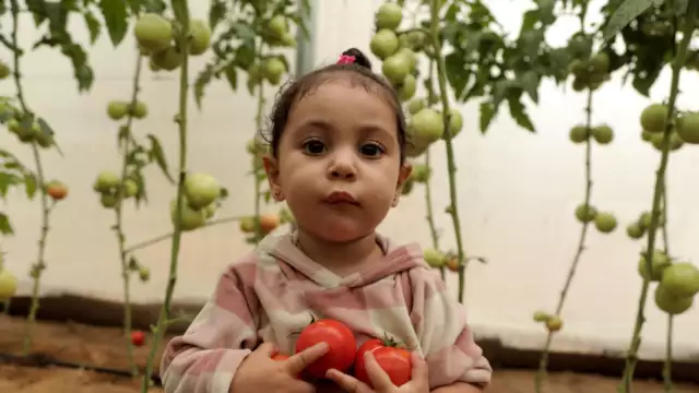 Image attribute from ANERA