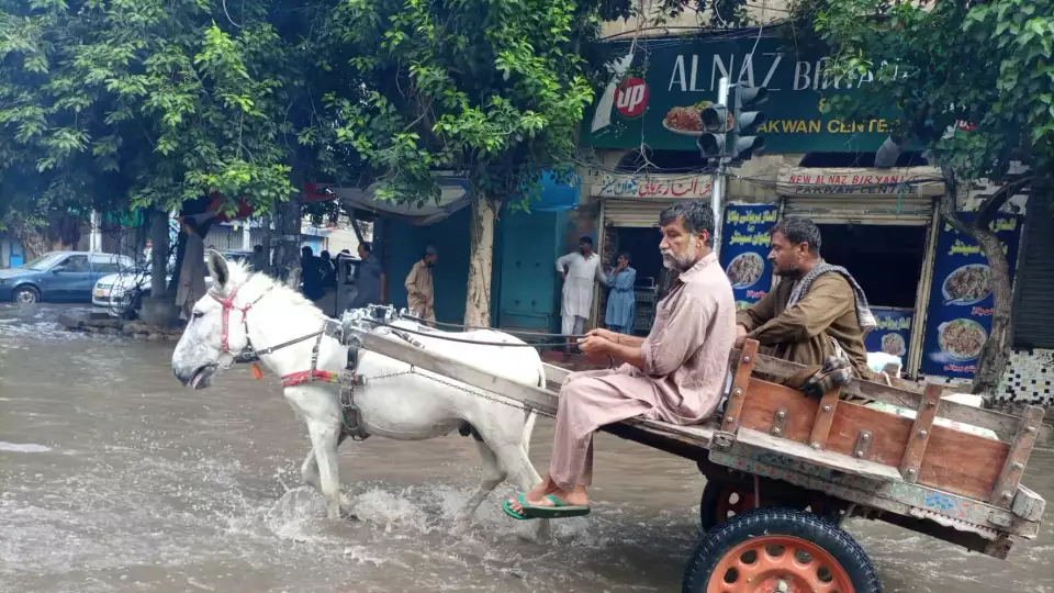 shutterstock 2184472461