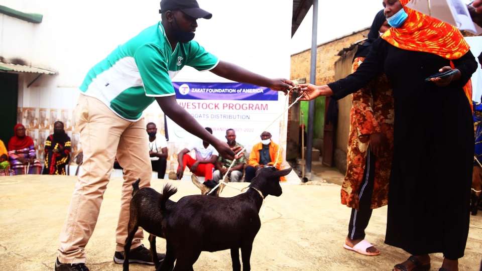 a beneficiary receives a pair of goats