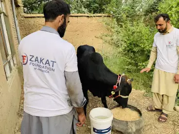 Afghanistan / أفغانستان