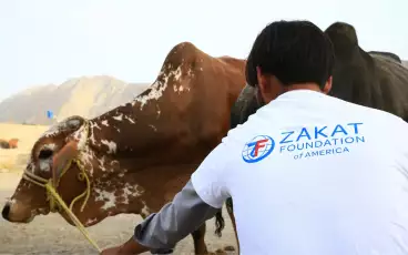 Pakistan / باكستان