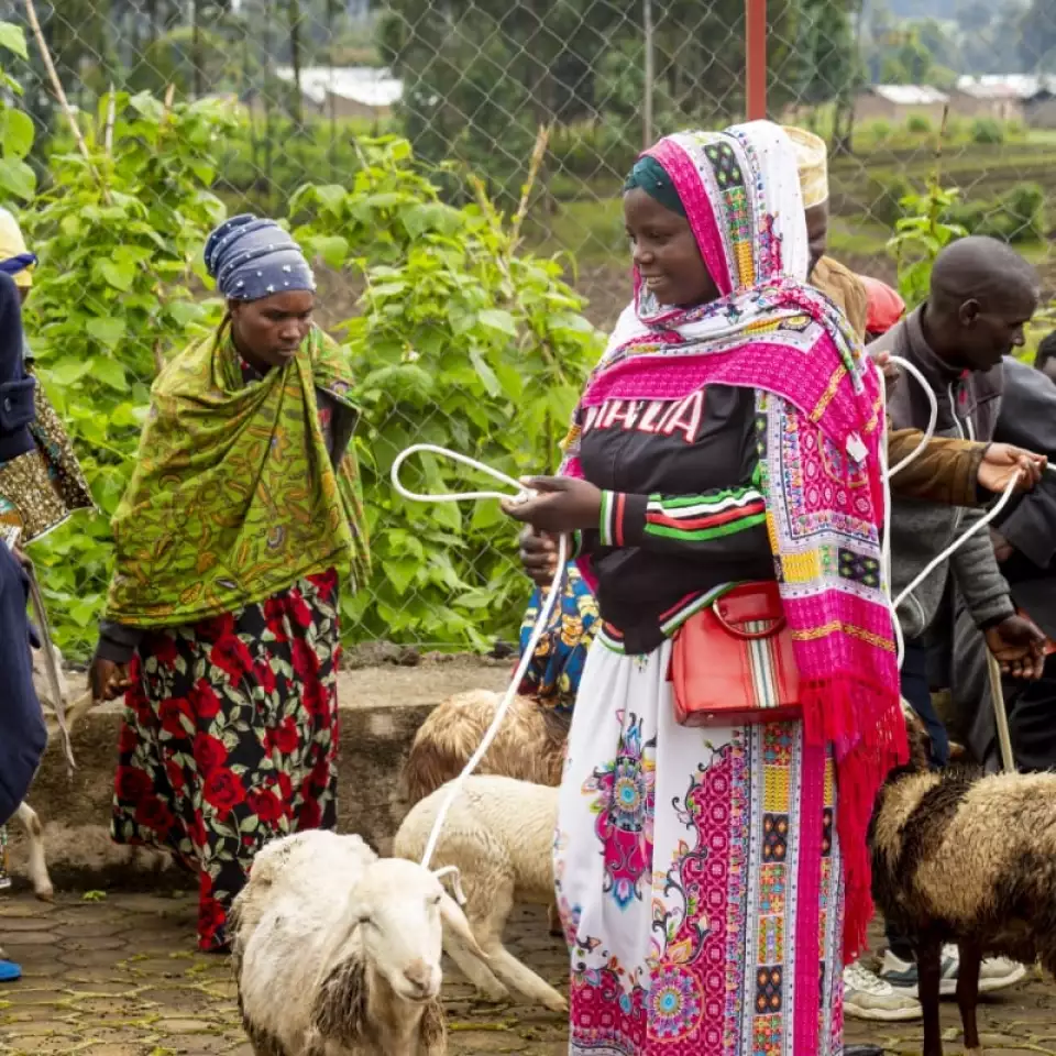 rwanda beneficiary profile