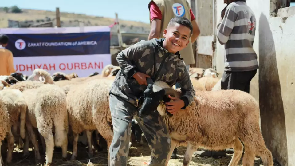 Udhiya/Qurbani Provision / أضاحي/قرباني