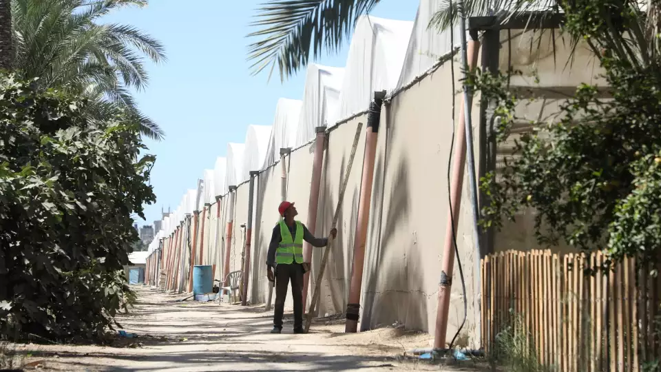 Greenhouse gardens being constructed to secure livelihoods for families / البيوت للزراعة الدفيئة لتأمين سبل العيش للعائلات