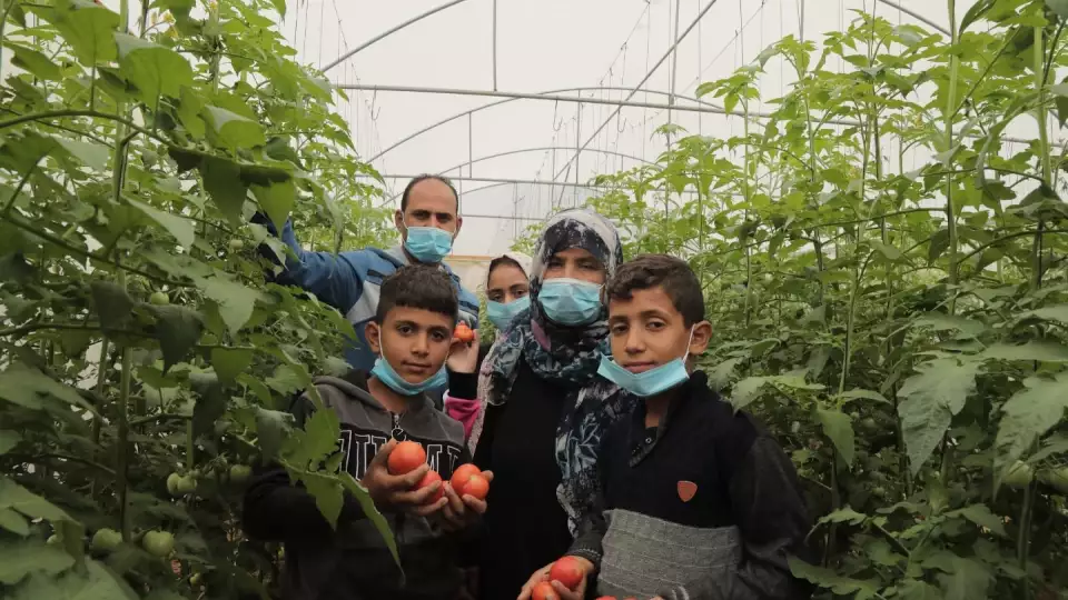 palestine gardens thumbnail