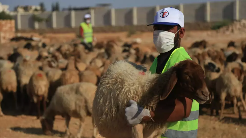 Zakat Foundation of America representative delivering fresh qurbani meat in Syria. | Zakat Foundation of America