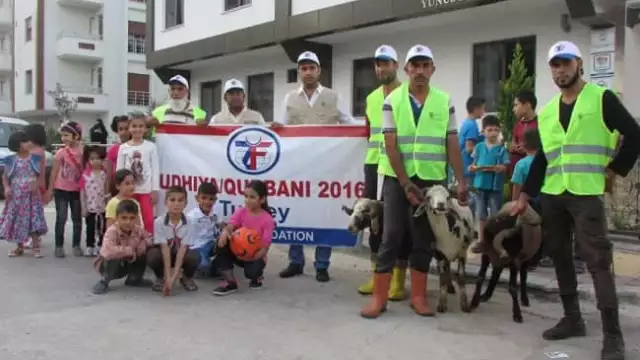 14440645 1169737859731526 2795453681379392560 n  large