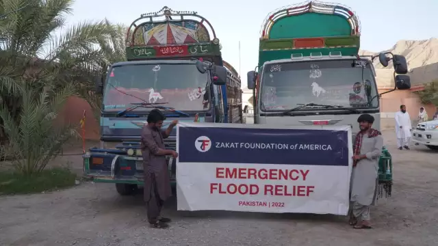 zfa distribution  (1)