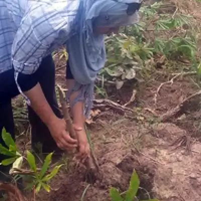 20130823 news hannan