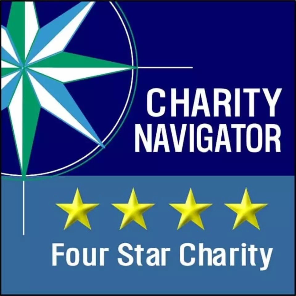 charity navigator 4 star logo  large