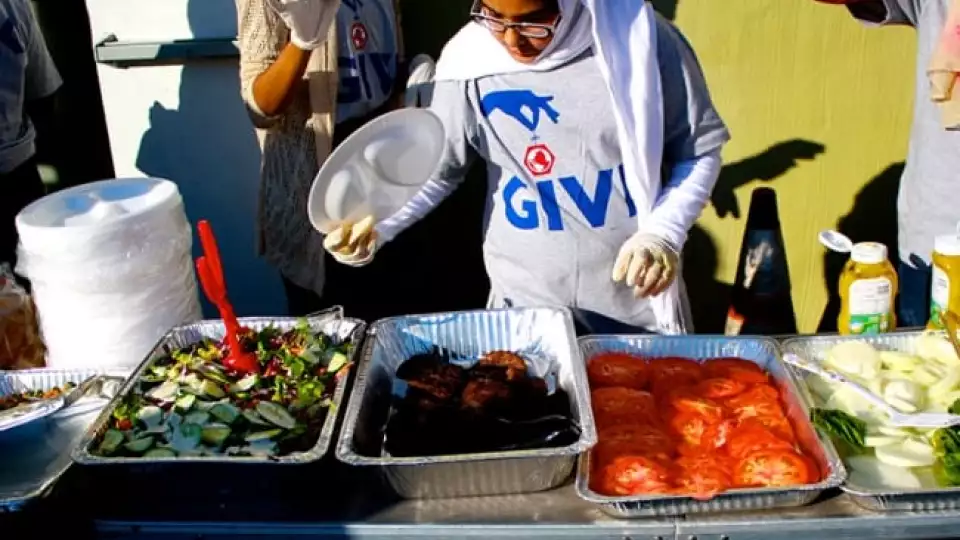 zffeed5k dc 20140704 064 w  large