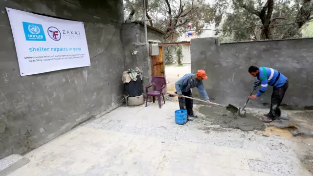 img 3578