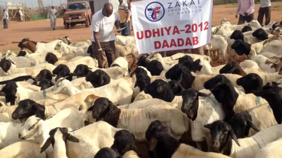 somalila dadaab udhiya 2012 103012  large 650x400