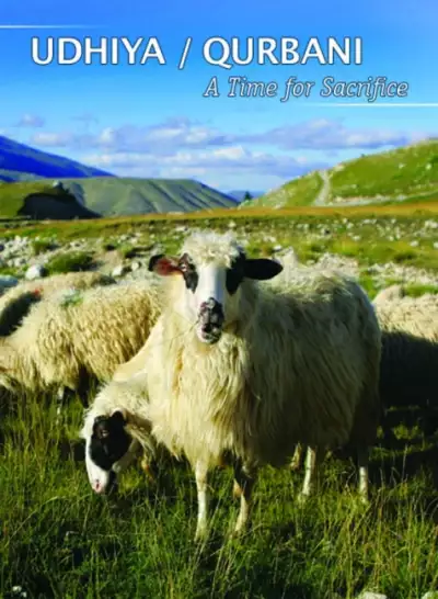 sheep tagline large