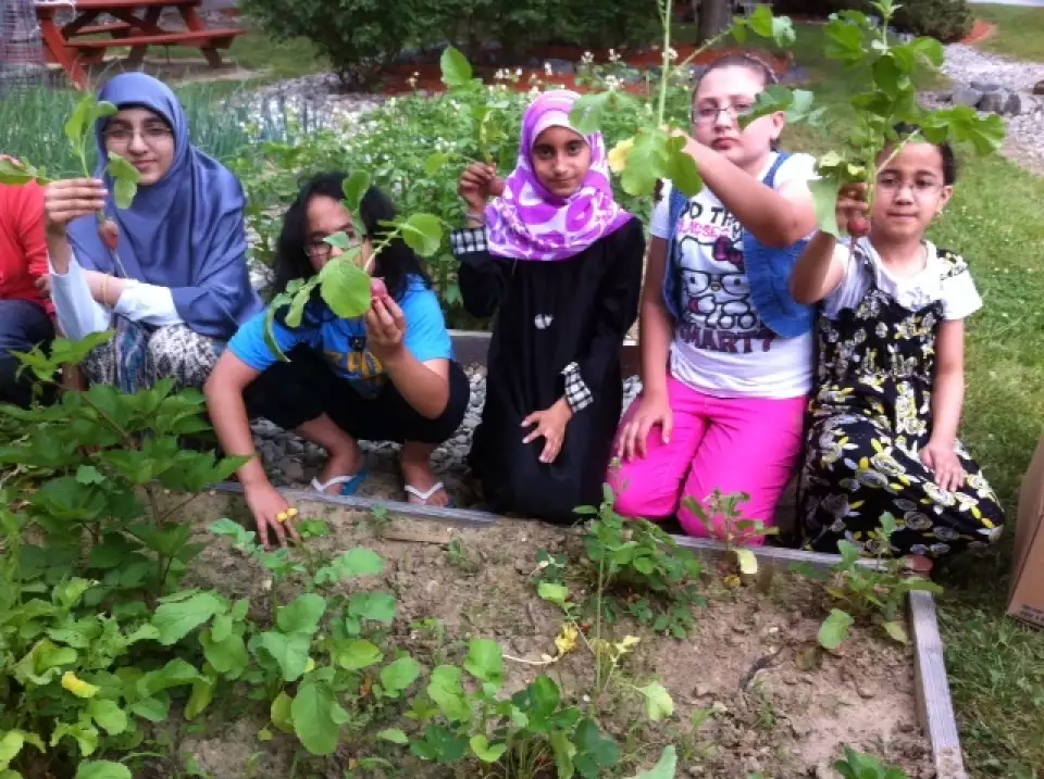 usa zfccd 083112  large