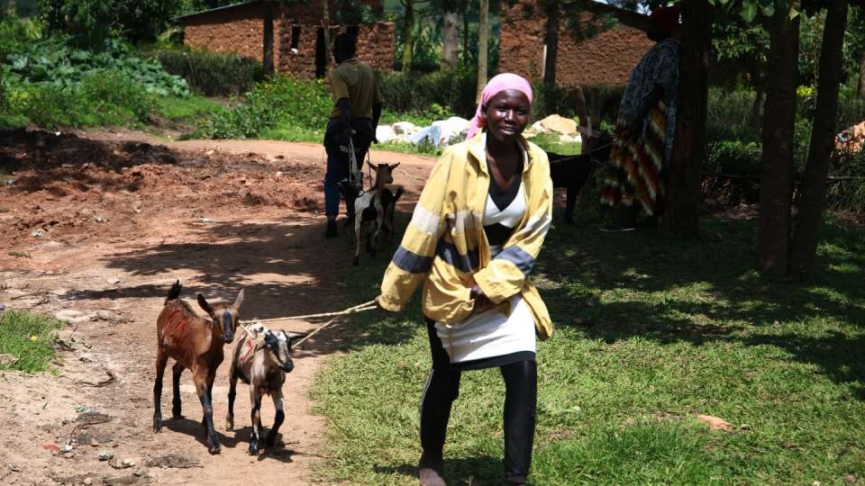 goats are an incredibly important part of sustainability in rwanda