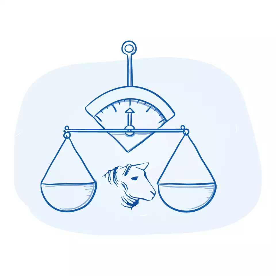 ico qurbani meat