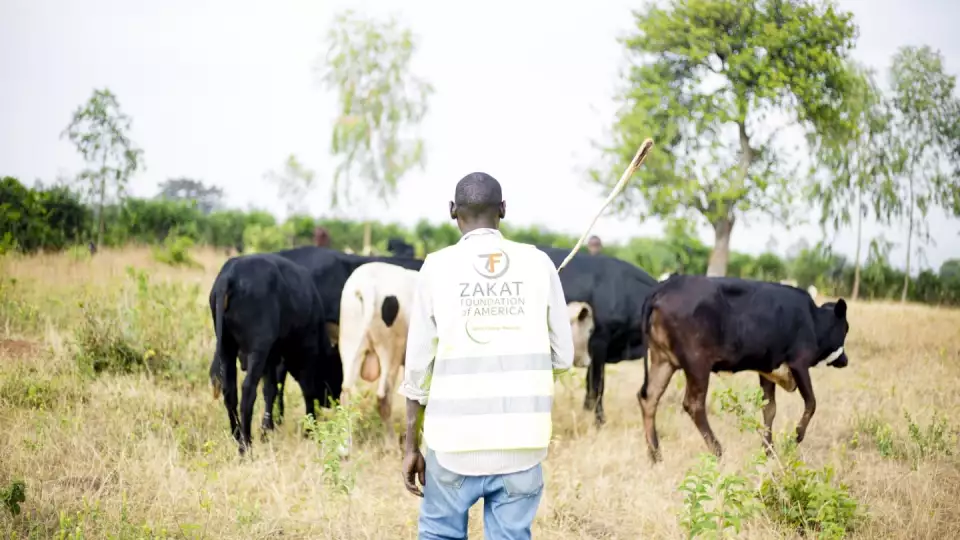 quirbani distributions