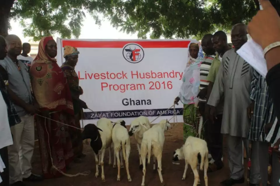 husbandry launch  large