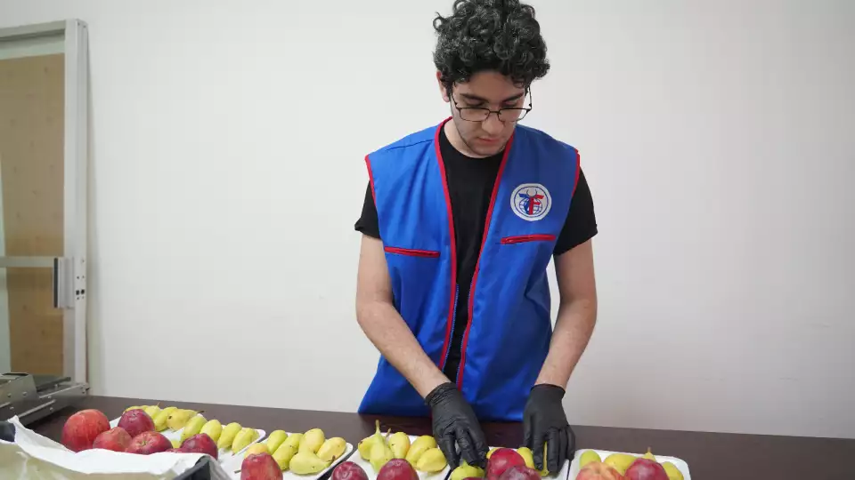 Preparing a selection of fruits for distribution in Lebanon
