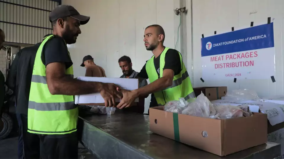 meat distribution