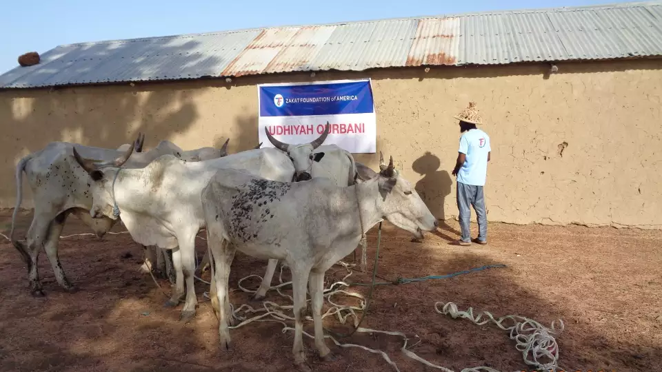 Access to nourishing meat is a luxury for many in Togo who struggle with food insecurity and hunger.