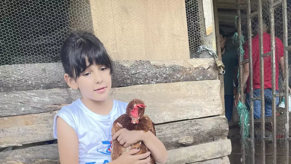 Families in Colombia receive livestock to create livelihoods and financial security.