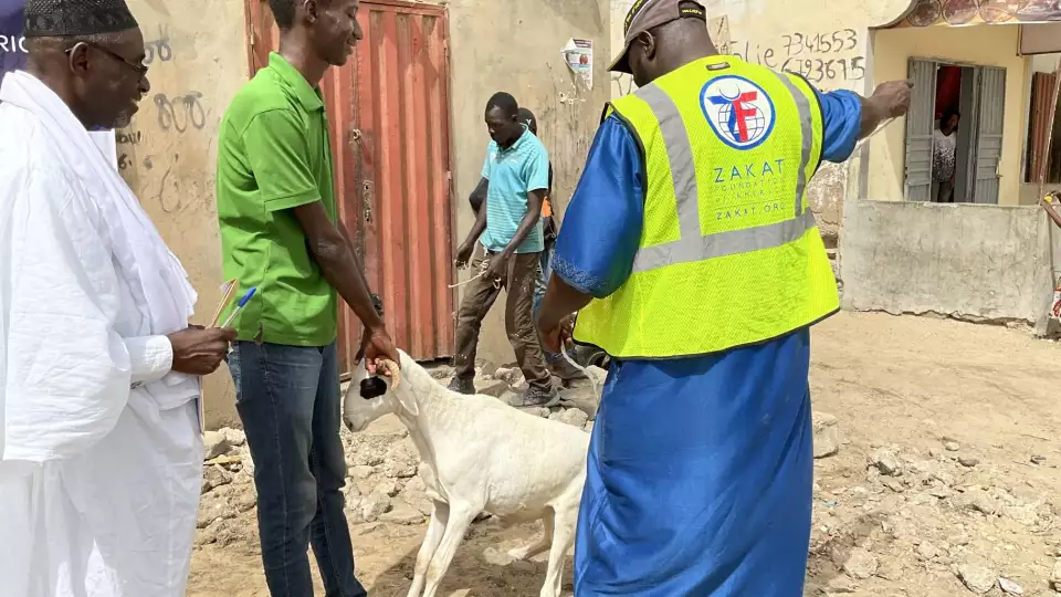 Our field teams work with volunteers to ensure only quality animals are used for Udhiyah-Qurbani.