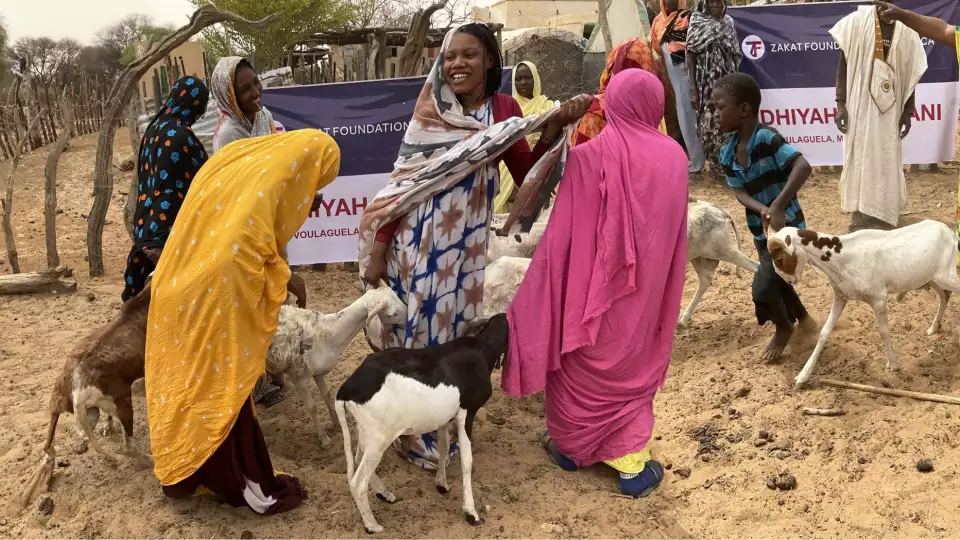 mauritania jumbotron