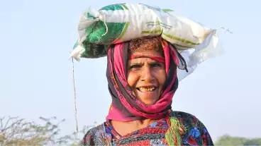 Yemen / اليمن