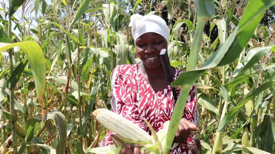 Farida empowers herself with farming her land